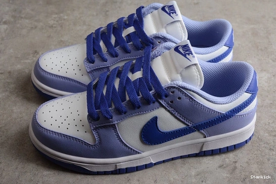 (GS) Dunk Blueberry Low Nike DZ4456-100 1123